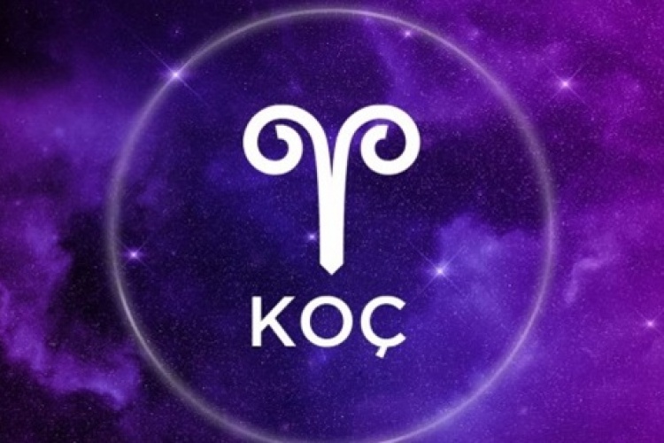 ♈ Koç